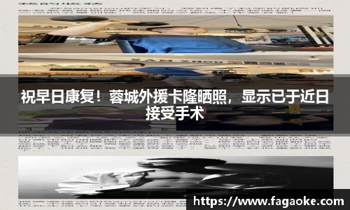 乐鱼电竞网址