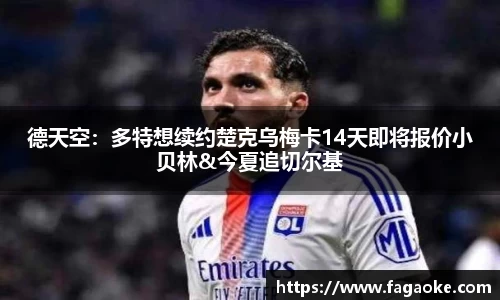 德天空：多特想续约楚克乌梅卡14天即将报价小贝林&今夏追切尔基