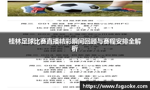 桂林足球比赛直播精彩瞬间回顾与赛程安排全解析