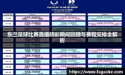 东兰足球比赛直播精彩瞬间回顾与赛程安排全解析