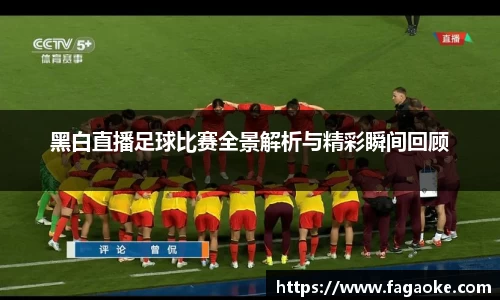 黑白直播足球比赛全景解析与精彩瞬间回顾