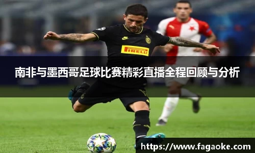 乐鱼电竞官网