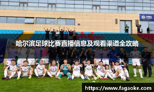 哈尔滨足球比赛直播信息及观看渠道全攻略