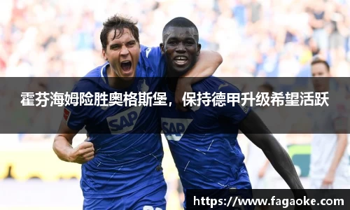 霍芬海姆险胜奥格斯堡，保持德甲升级希望活跃